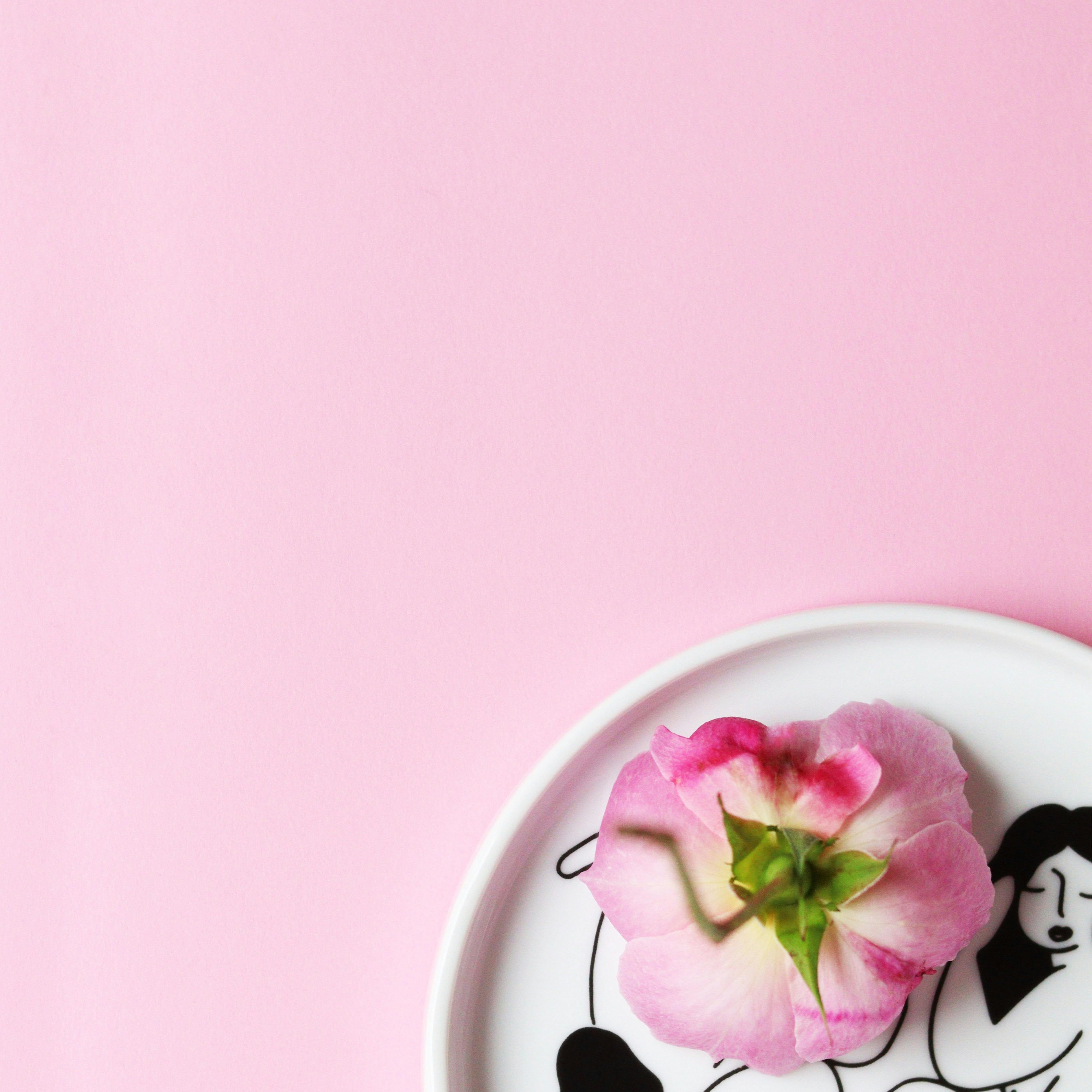 Why Patience Is Beautiful: Delayed Shipping